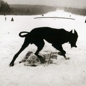 Meet your Posher, Max